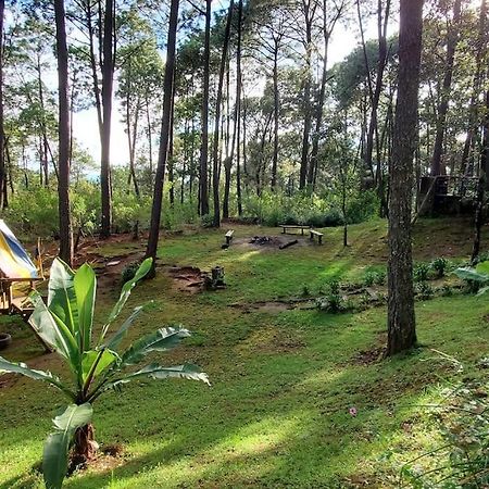 Cabana Rustica A 1Km De Cascada Mazamitla Buitenkant foto
