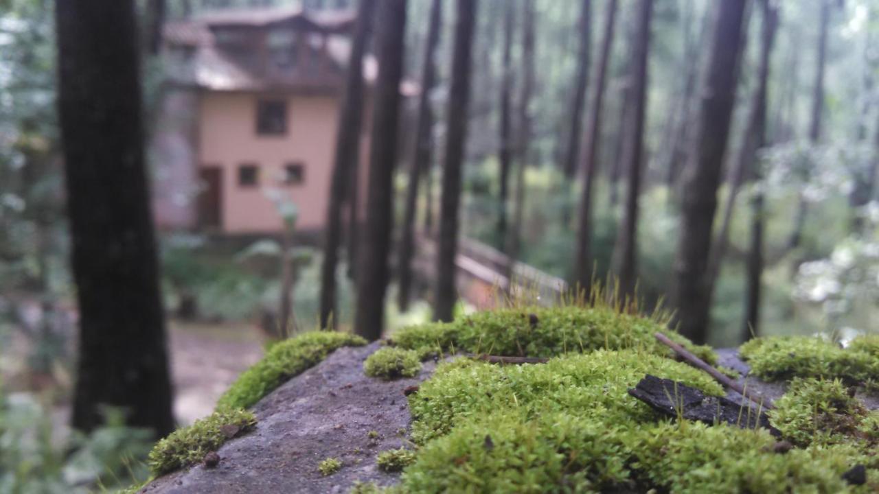 Cabana Rustica A 1Km De Cascada Mazamitla Buitenkant foto