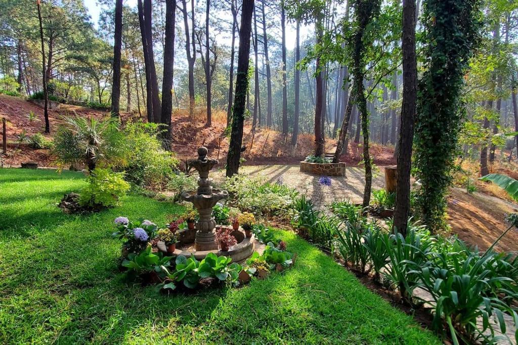 Cabana Rustica A 1Km De Cascada Mazamitla Buitenkant foto