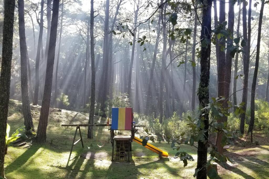 Cabana Rustica A 1Km De Cascada Mazamitla Buitenkant foto