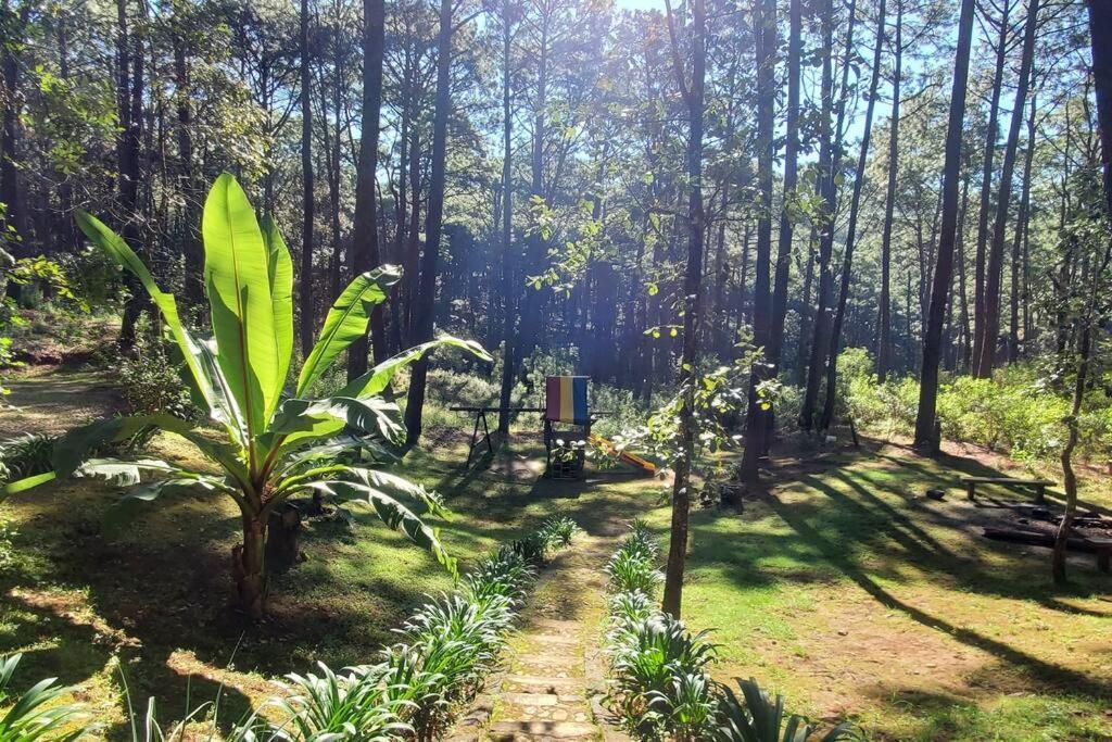 Cabana Rustica A 1Km De Cascada Mazamitla Buitenkant foto